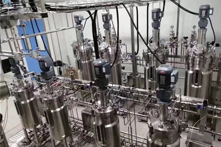 多聯平行（háng）發酵罐